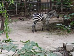 -上海动物园(地铁站)