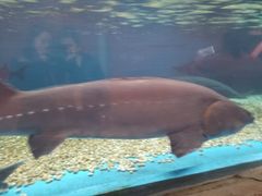 -成都浩海立方海洋公园