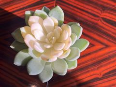 -香丰阁·烤鸭·川湘菜(昌平店)