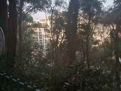 -金鸡山公园