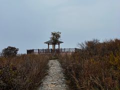 -大觉寺-停车场