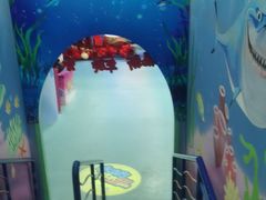 -水立方嬉水乐园
