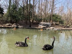 -扬州市茱萸湾风景区