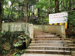 -惠山国家森林公园