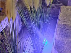 -绿茶餐厅(燕郊永旺店)