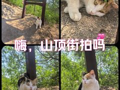 -北京凤凰岭