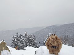 -北京鹫峰国家森林公园