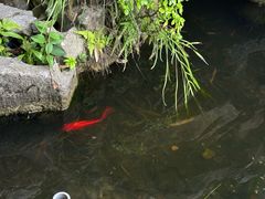 -呼吸森林·生态农庄农家乐私房菜