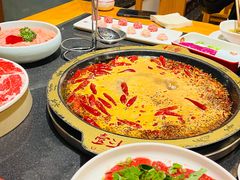 -一斗火锅·招财羊毛肚(北温泉九号店)