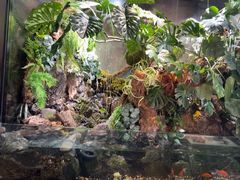 -豫丰汇河南名菜楼(武记餐饮)