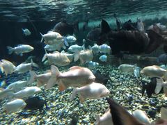 -成都浩海立方海洋公园