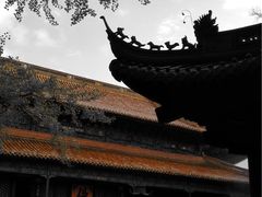 -普陀山风景名胜区-法雨禅寺