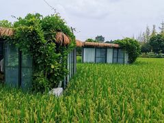 -洪湖家庭农场·团建·露营·会议