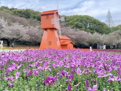 -苏州上方山国家森林公园