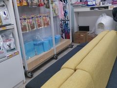 -宠颐生中康贝怡动物医院