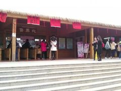 -天适樱花悠乐园