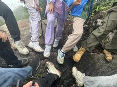 -午潮山国家森林公园