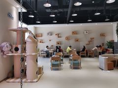-藏猫猫咖啡主题馆(中央大道店)