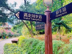 -广悦华阳朔河畔度假酒店(十里画廊遇龙河店)