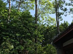 -柳侯公园