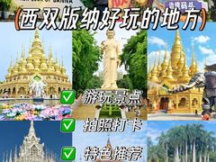 -西双版纳原始森林公园