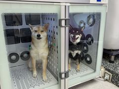 -FAELING PETS美天灵宠物(富力广场店)