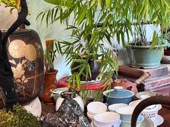 -芙蕾哥哥souffle