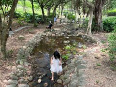 -聚龙山公园