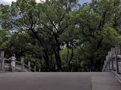 -荔湾湖公园
