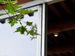 -VOYAGE COFFEE(杨梅竹店)
