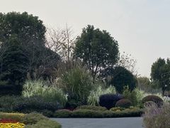-径山花海