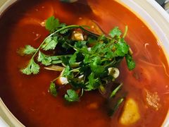 酸汤火锅-黔府豆米火锅野菜馆(南马店)