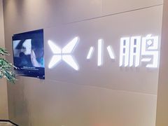 -小鹏汽车体验中心(苏州龙湖狮山天街店)