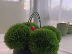 -悦融·京鲁菜·露台花园(安定门店)