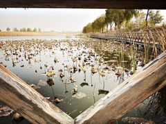 -野鸭湖国家湿地公园