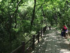 -苏州上方山国家森林公园