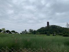 -红花山公园