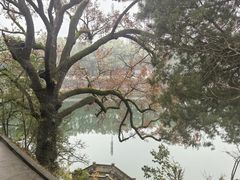-蒋氏故居