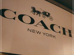 -COACH蔻驰(盛京奥特莱斯店)