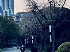 -Peet's Coffee皮爷咖啡(豫园店)