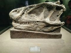 -自贡恐龙博物馆