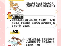 -佩兹宠物医院肿瘤专科·眼科·牙科(黄浦店)
