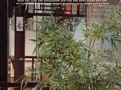 -中和·国风茶馆(愚园路店)