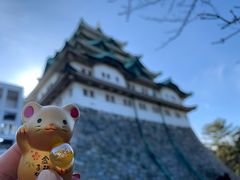 -名古屋城