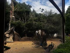 -南昌动物园