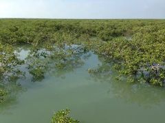 -北海金海湾红树林生态旅游区