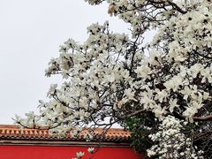 -北京市劳动人民文化宫(太庙)