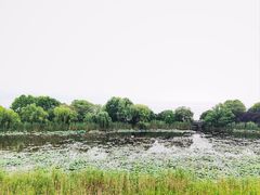 -上海市保健医疗中心