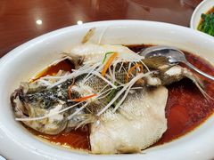清蒸鲈鱼-茶港食堂(武昌店)