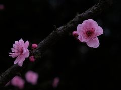 -沐仙湖湿地公园